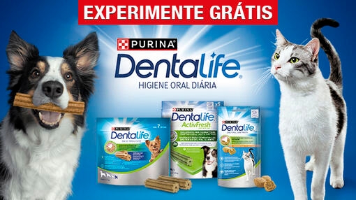Dentalife