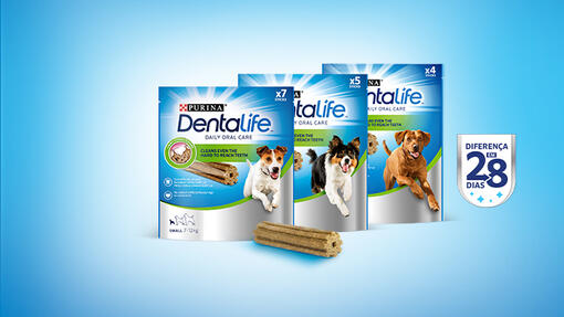 dentalife 28 day challenge