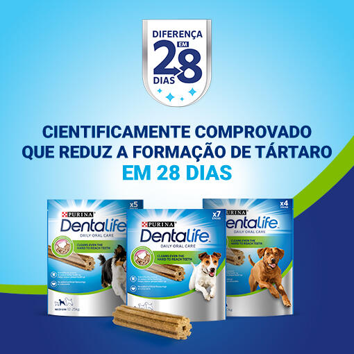 dentalife 28 day challenge