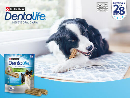 Desafio 28 dias Purina® DentaLife® 