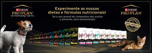 PPVD_embalagens