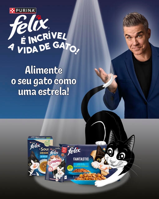 FELIX – É Incrível a Vida de Gato!