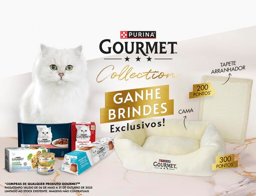 GOURMET Collection 2025