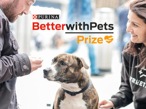 Vencedor do prémio Better with Pets da Purina
