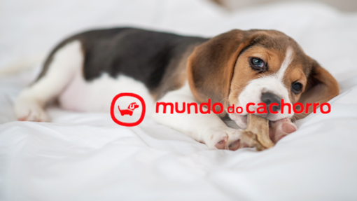 Logo Mundo do Cachorro com cão