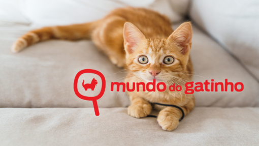 Logo Mundo do Gatinho e gatinho
