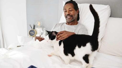gato na cama com homem doente