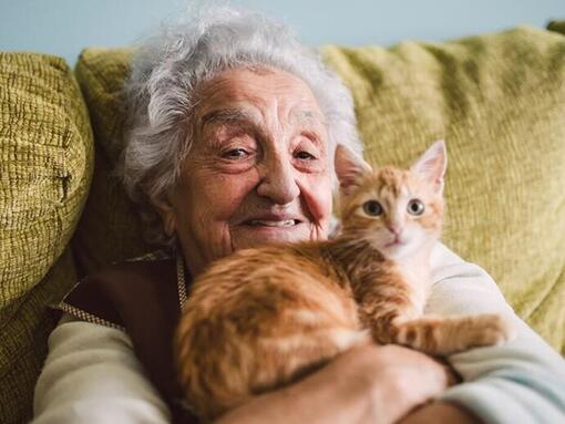 mulher idosa com um gato