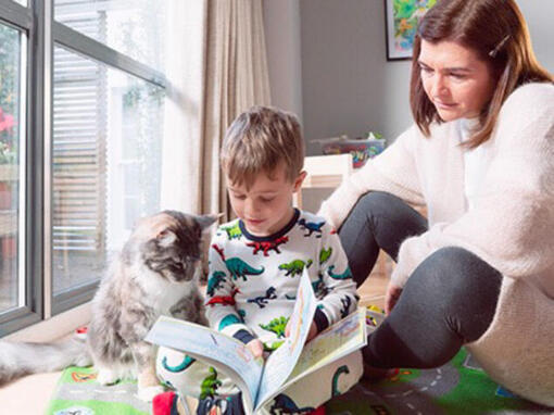 mãe e filho a brincar com um gato