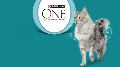 Purina ONE – Desafio 3 Semanas