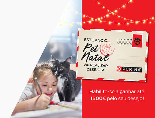 Pet Natal