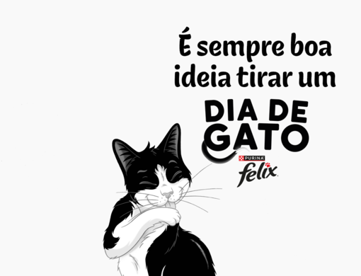 DIA DE GATO FELIX