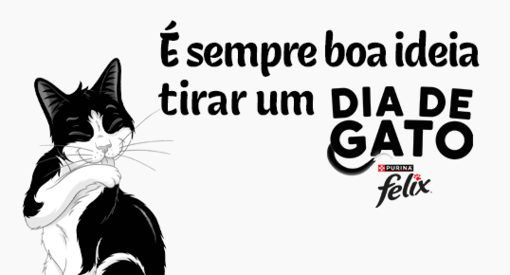 DIA DE GATO FELIX