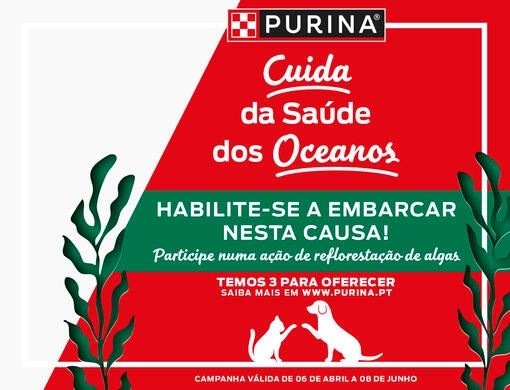 Junte-se à PURINA na Restauração dos Oceanos