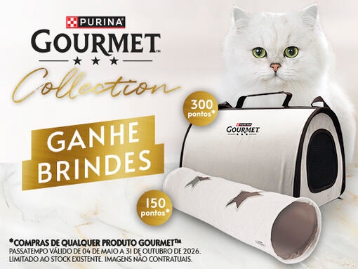 GOURMET Collection 2026