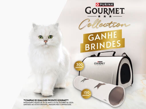 GOURMET Collection 2026