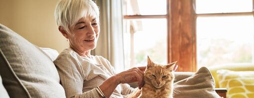 Gato laranja no colo de uma senhora