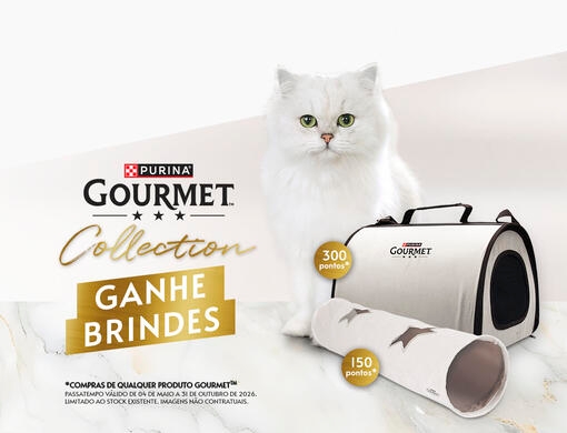 GOURMET Collection 2026