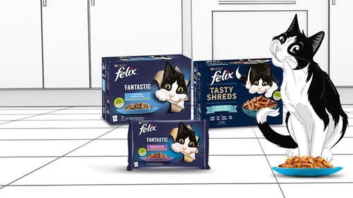 Explora a nossa gama de Húmidos FELIX!