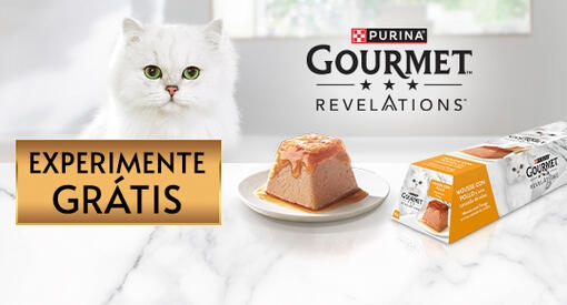 EXPERIMENTA GRÁTIS GOURMET REVELATIONS