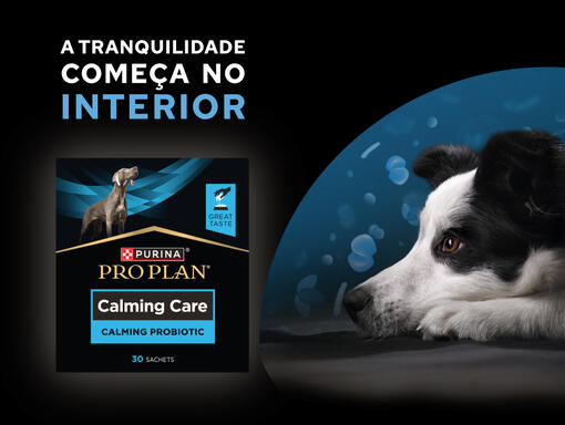 PRO PLAN® Calming Care®
