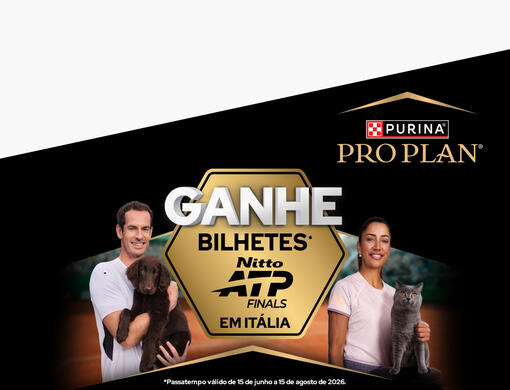 Assiste à Nitto ATP Finals com PRO PLAN®