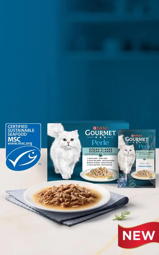 Gourmet Perle