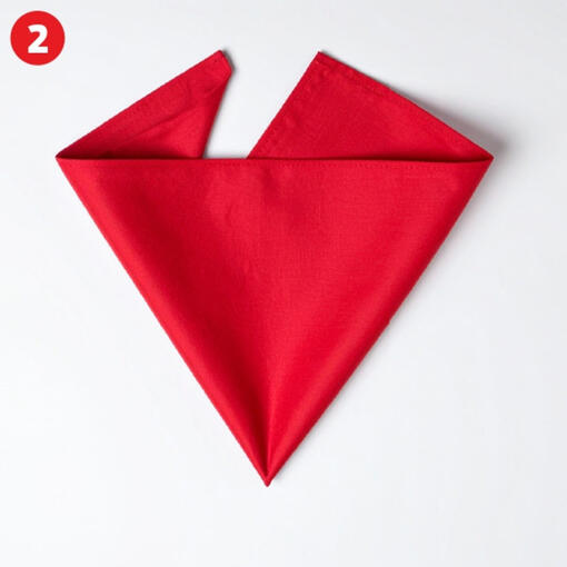 Dobra o canto superior para baixo para criar a bandana.