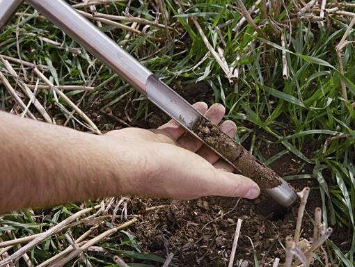 A nossa jornada na Agricultura Regenerativa