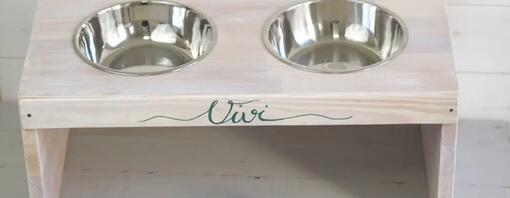 DIY: faz o teu comedouro para cães