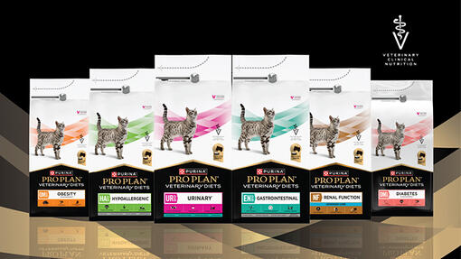 Descubra PRO PLAN® VETERINARY DIETS para gatos