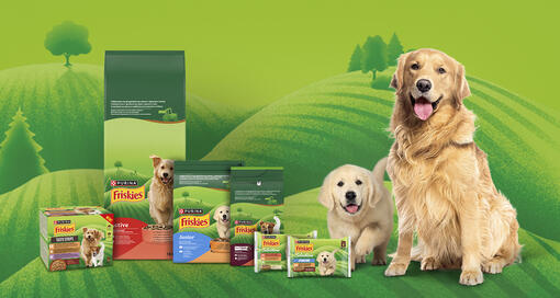 Alimentação para cães FRISKIES