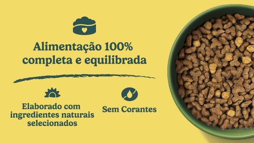 Alimentação Friskies
