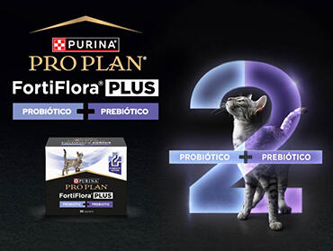 Pro Plan FortiFlora