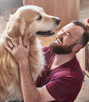 Pro Plan Dog