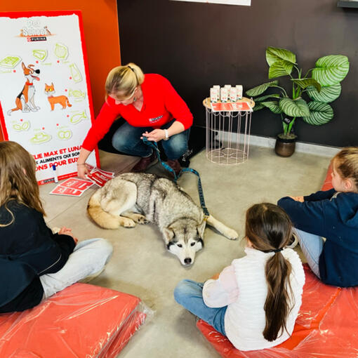 PECCRAM In/Store Pet School Workshops