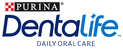 Dentalife logo Dentalife logo