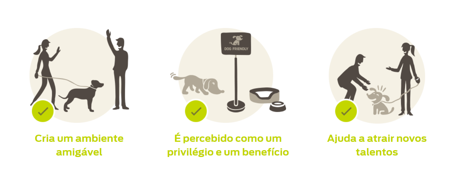 Animais de estimação no infográfico de trabalho Animais de estimação no infográfico de trabalho