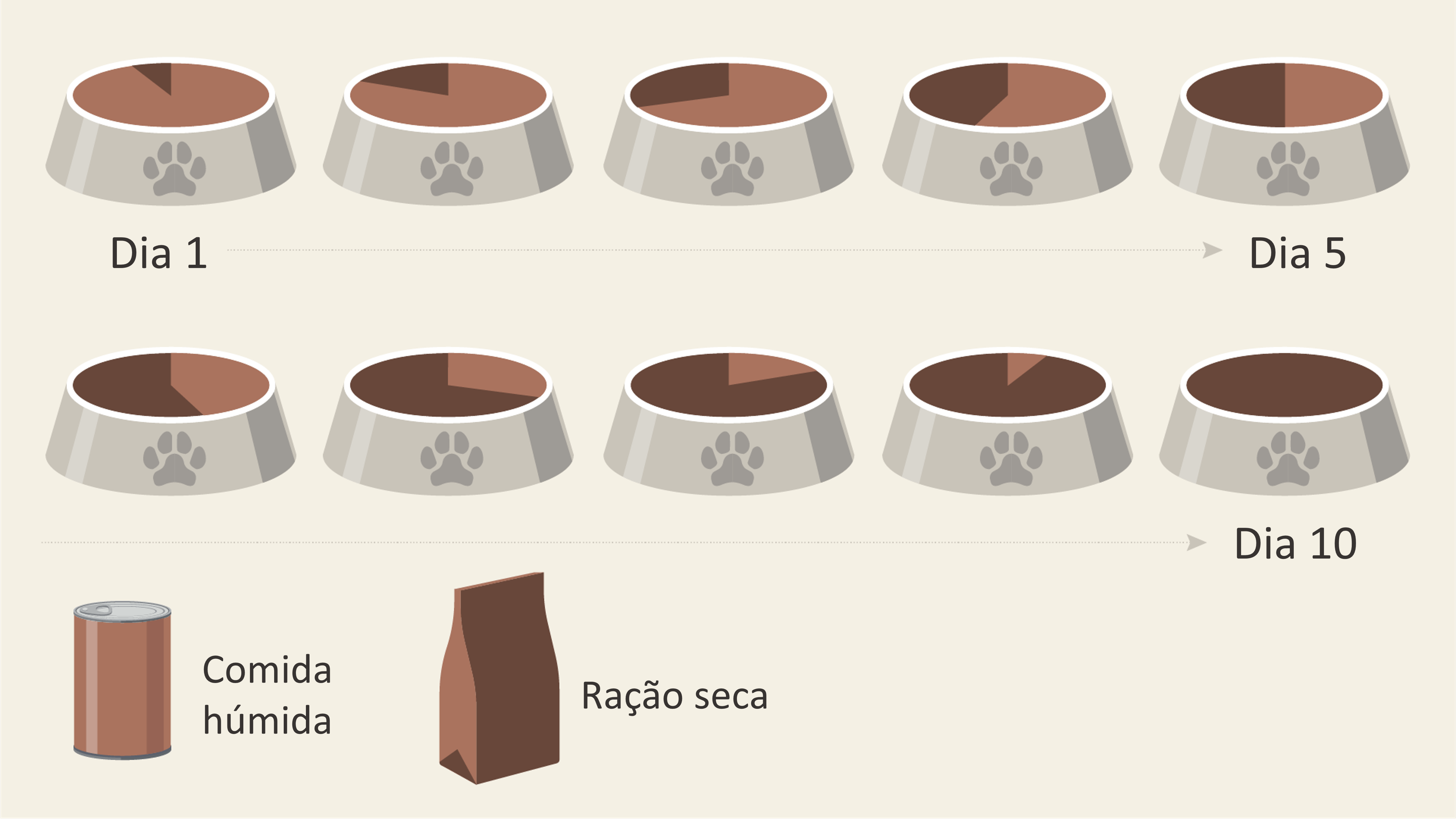 Alimentar cachorro - mudar de comida Alimentar cachorro - mudar de comida