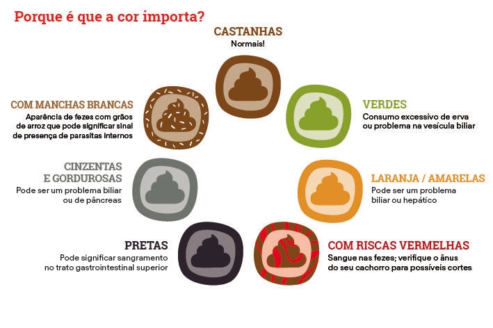 Muita atenção neste sintoma: diarreia com fezes amarelas, o que