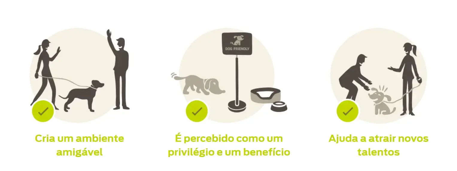 Animais de estimação no infográfico de trabalho