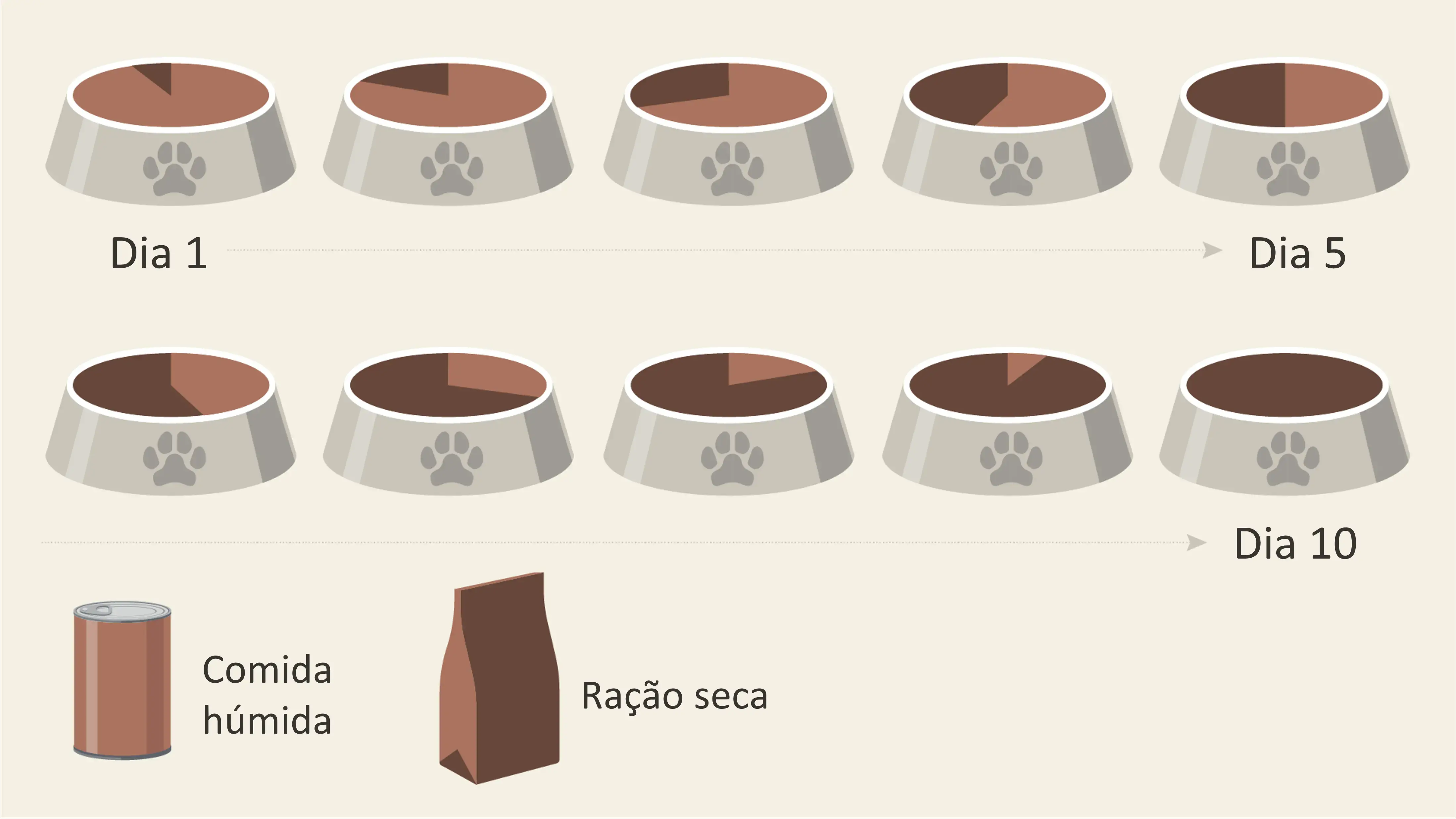 Alimentar cachorro - mudar de comida