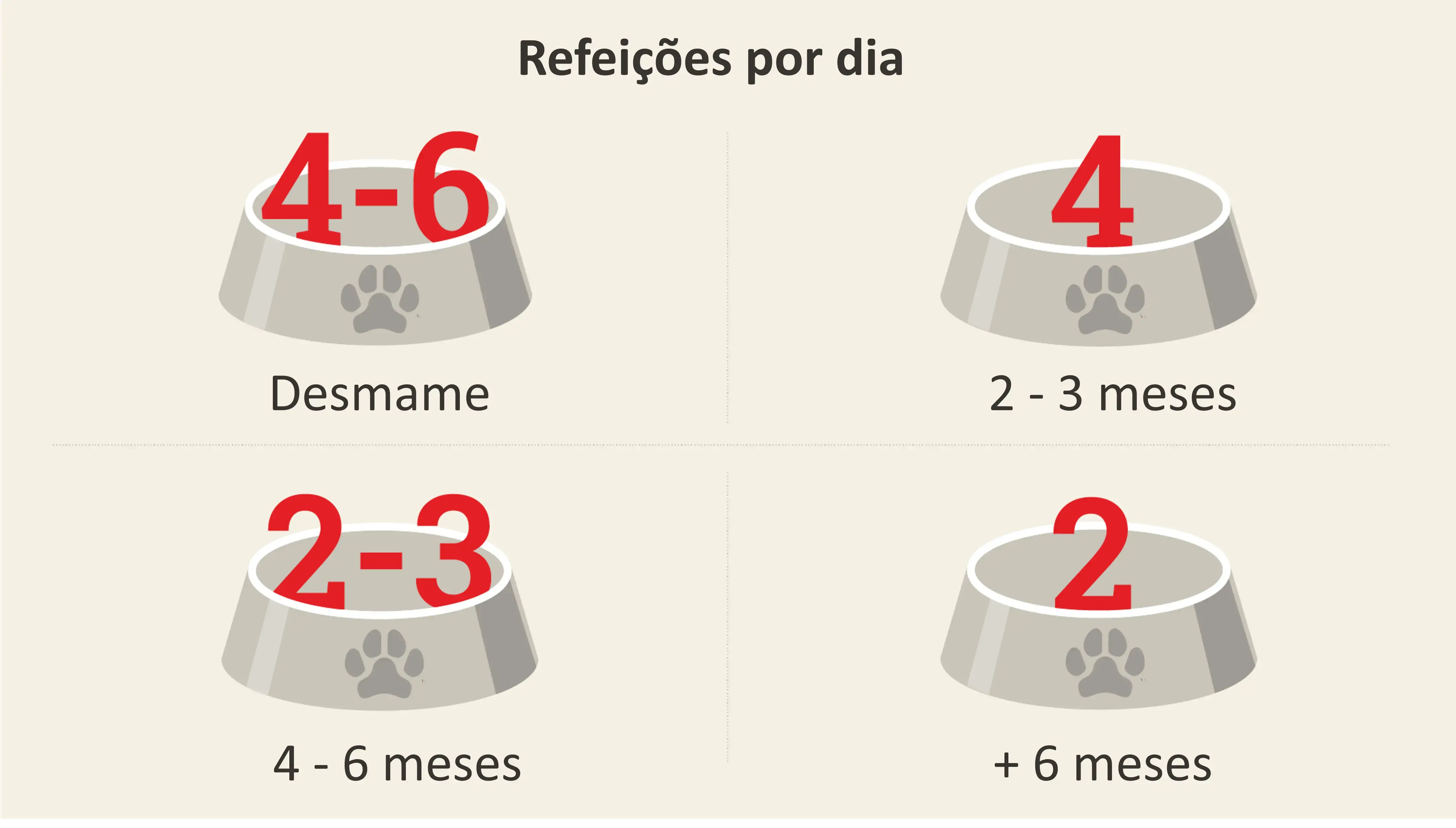 Alimentar cachorro quantas vezes por dia
