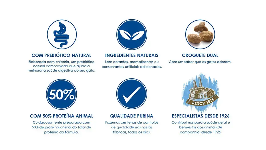 Nutrição saudável para o seu gato com Purina Cat Chow
