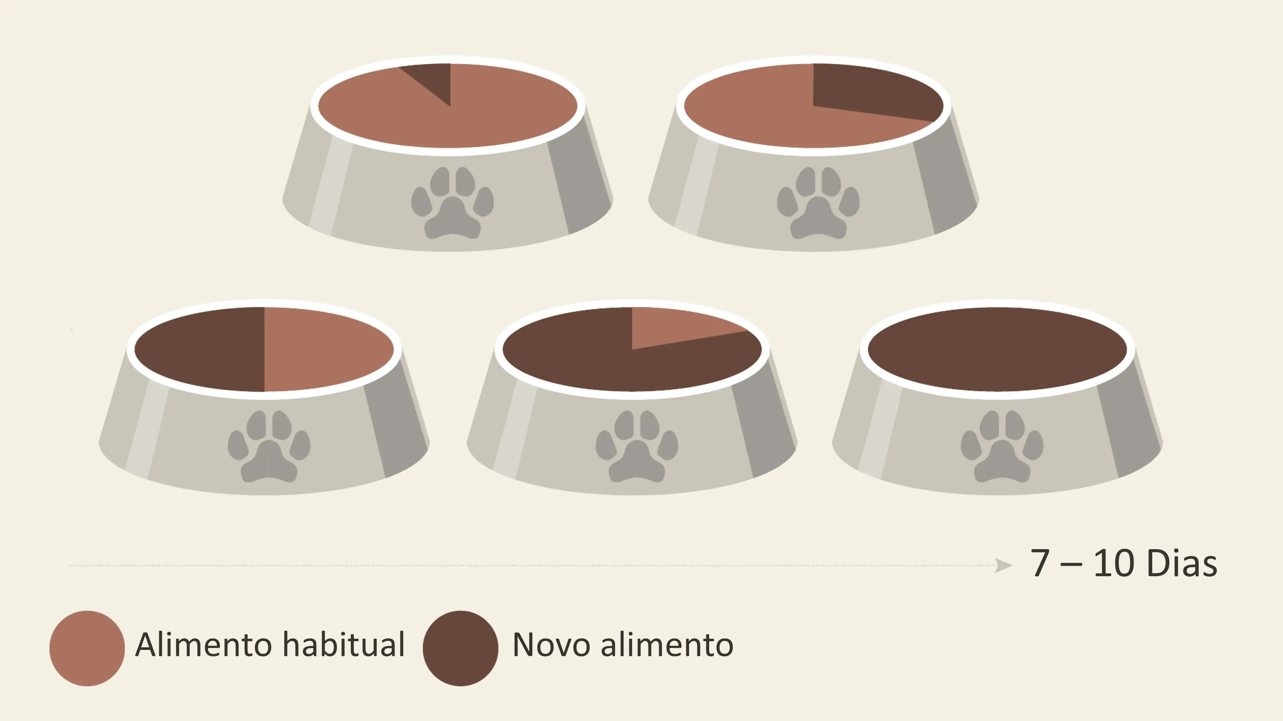 Ração para cachorro - mudar de comida