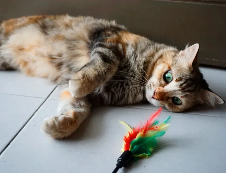 Varinha de penas DIY
