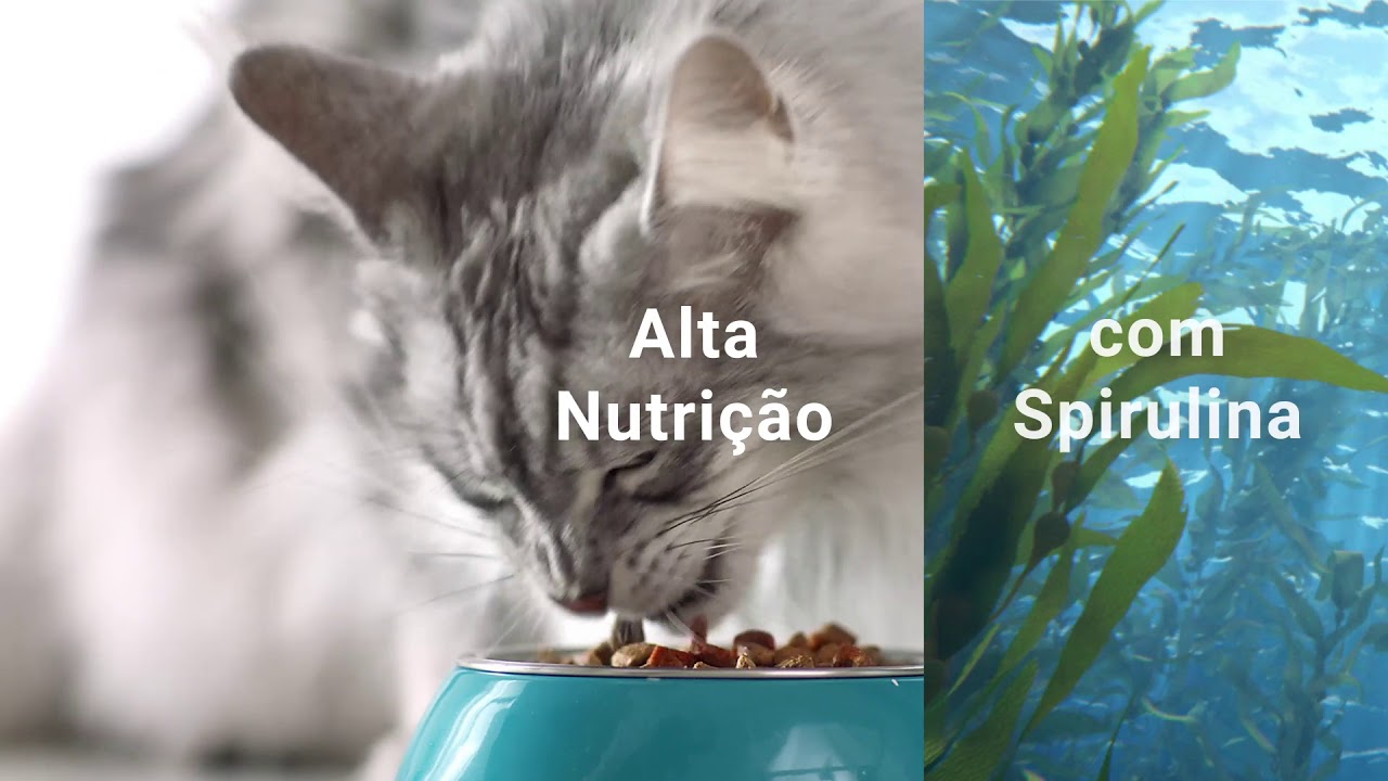 Dual Nature
