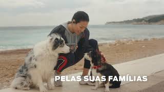 Purina – cuidamos aqui e aqui