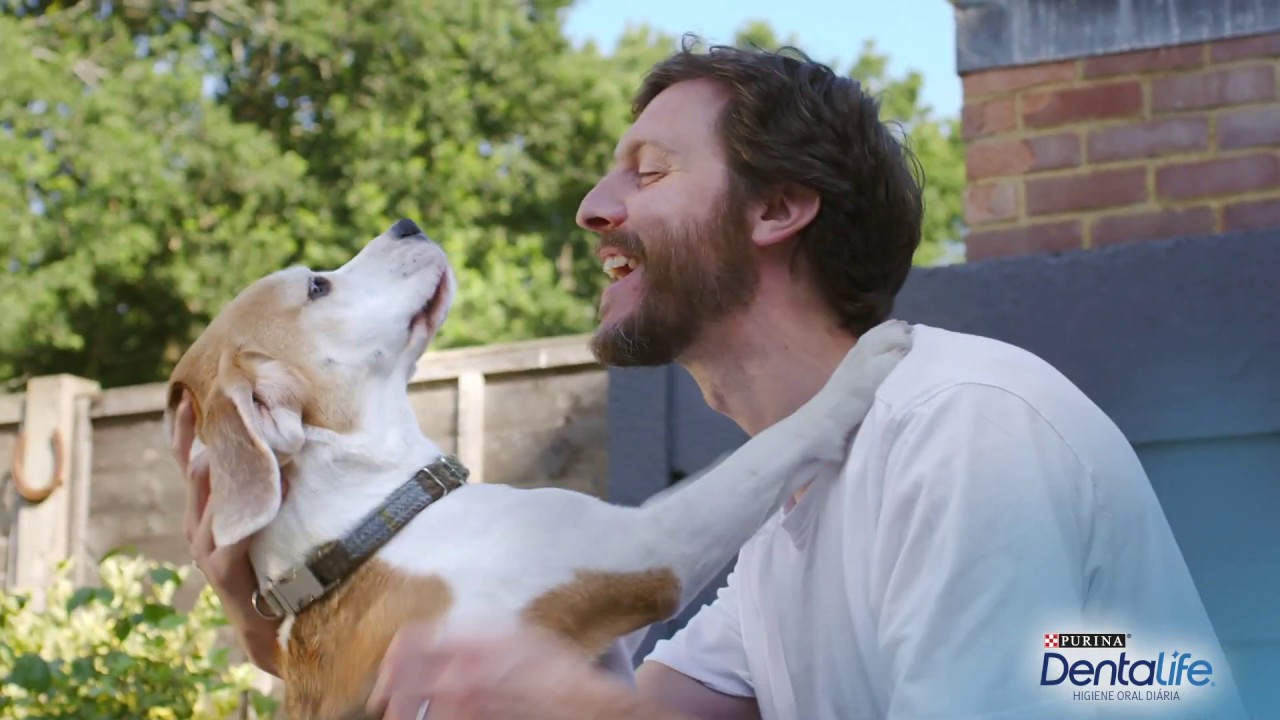 DAVE & RALPHY